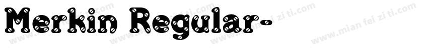 Merkin Regular字体转换